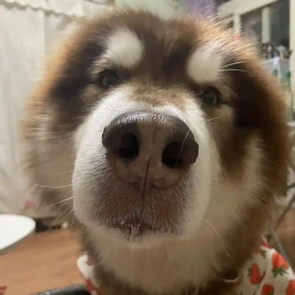 thethuytran556